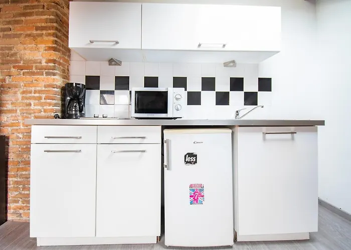 T3 Duplex De Charme Au Coeur Du Quartier Historique
