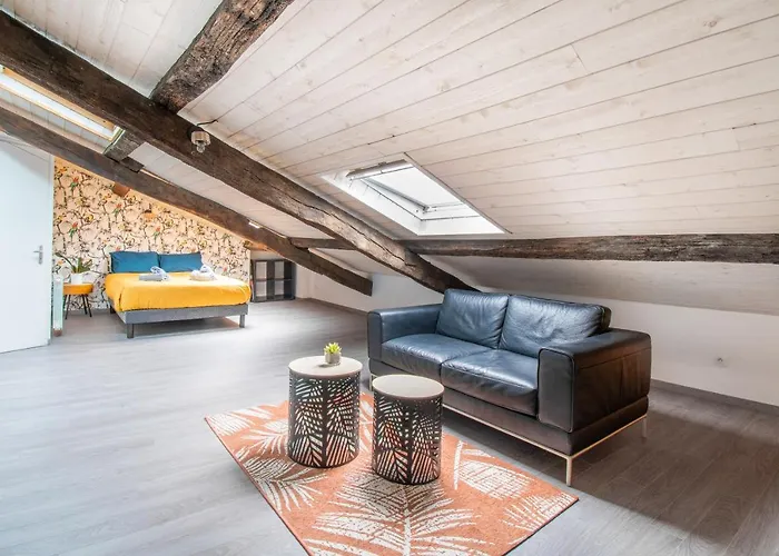 T3 Duplex De Charme Au Coeur Du Quartier Historique